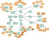 er diagram for ngo management system|Ngo management system. .